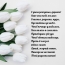 С днем рожденья, дорогая! Путеводная звезда чтоб светила навсегда.