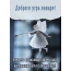Доброго утра января! Зима это потрясающее время года
