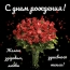 С днем рождения! Желаю здоровья, любви и душевного тепла!
