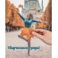 Творческого утра!