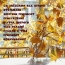 Со звёздами все шторы открываю и утра доброго тебе желаю!