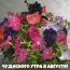 Чудесного утра в августе!