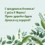 С праздником весенним! С днём 8 Марта!