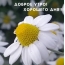 Доброе утро! Хорошего дня!