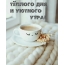 Тёплого дня и уютного утра!