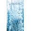 С первым днём зимы! Пусть она принесёт счастье!