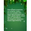 Пускай удачным, и прекрасным, и добрым будет Новый Год!