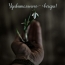 Удивительного вечера!