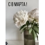 С 8 марта!