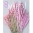 8 марта!