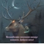 Волшебство весеннее вокруг витает. Доброй ночи!