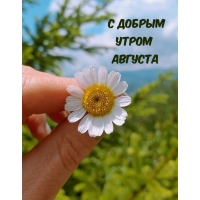 � ������ ����� �������