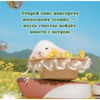 ������ ���� ��������� ��������� ������